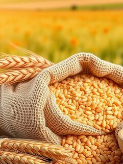 wheat-flour-bowl-grains-burlap-bag-table-with-field-background_1205263-212978